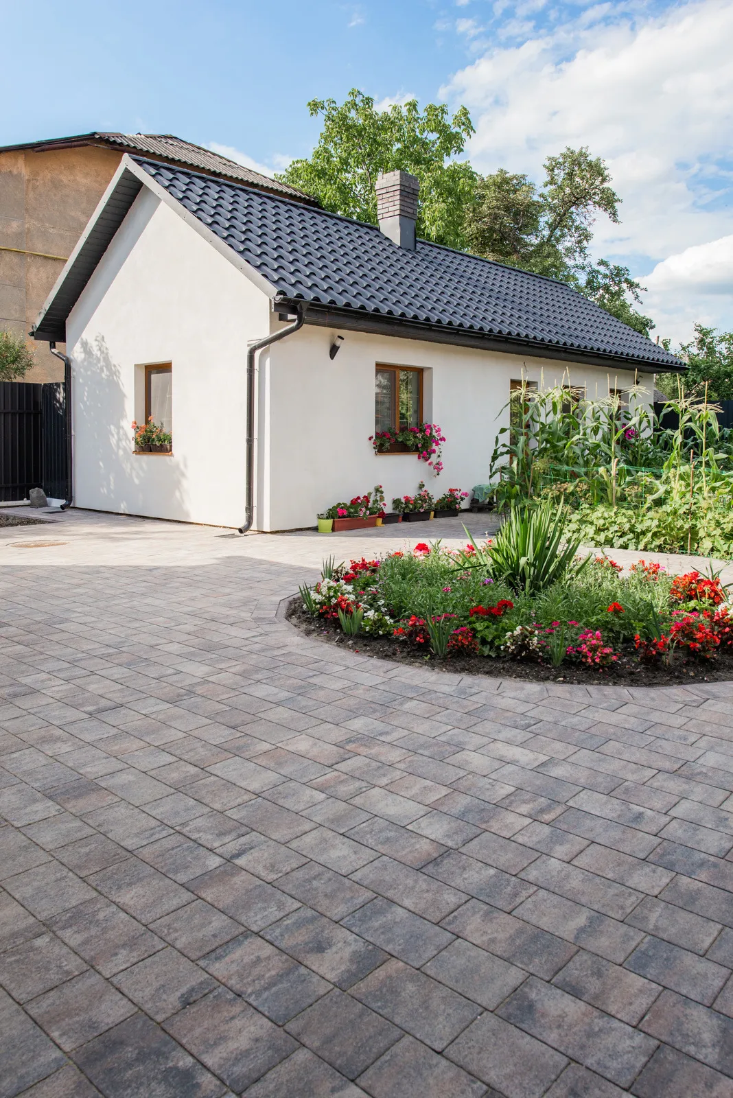 Романо цвет: Сепия - фото 15