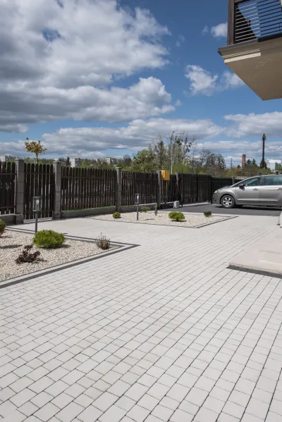 Торні колір: Чорний, Білий