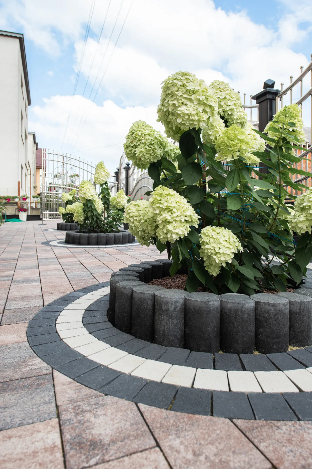 Романо цвет: Ферум / Торни цвет: Черный, Белый / Палисад полумесяц цвет: Черный - фото 10