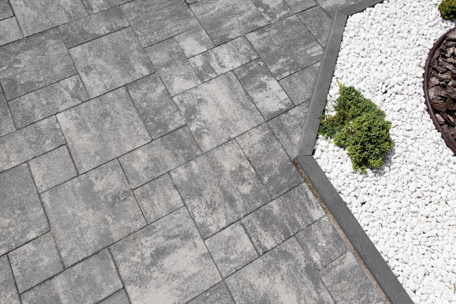 Рокко цвет: Хром / Поребрик (6 см) цвет: Черный - фото 17