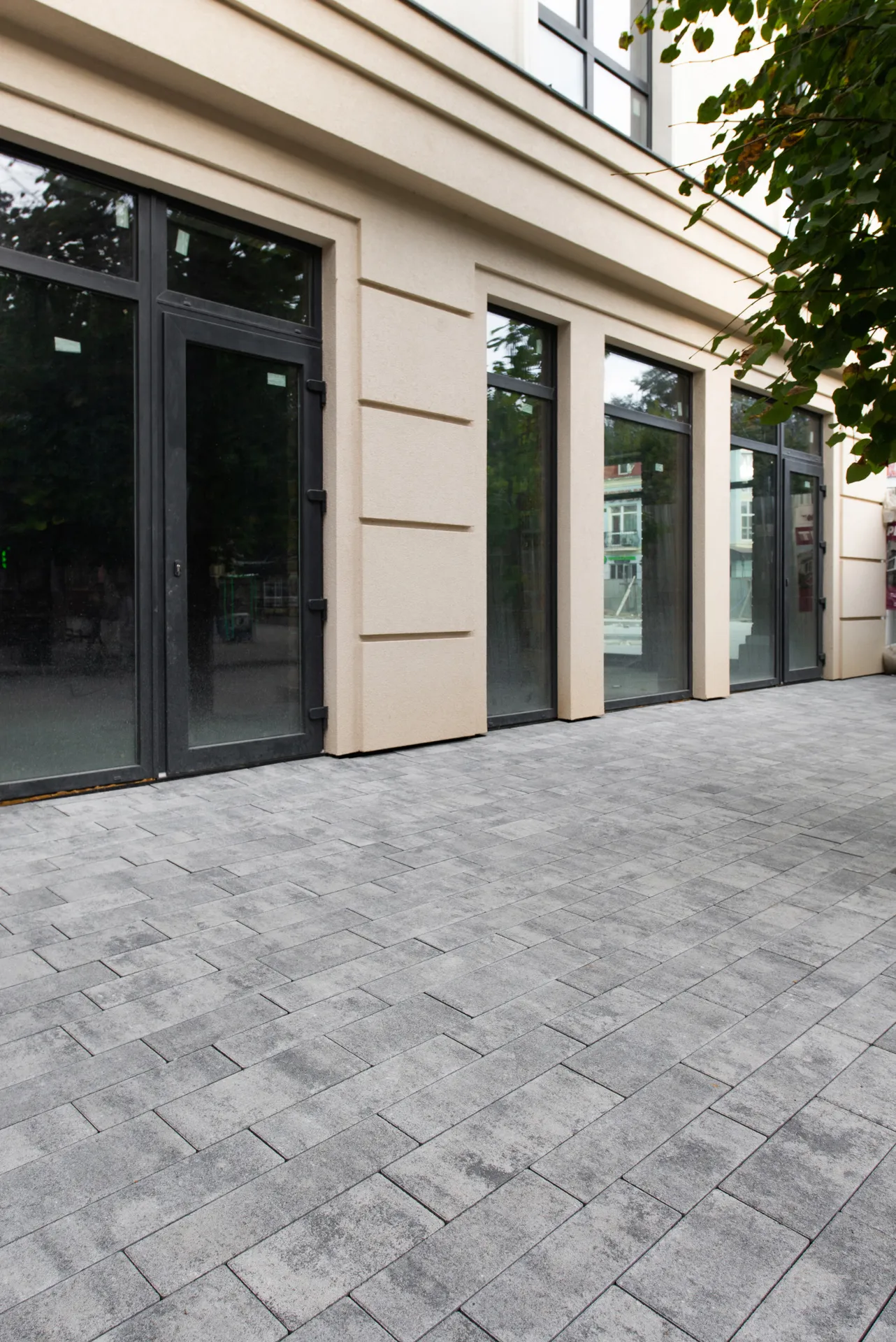 Доміні колір: Арагон - фото 4