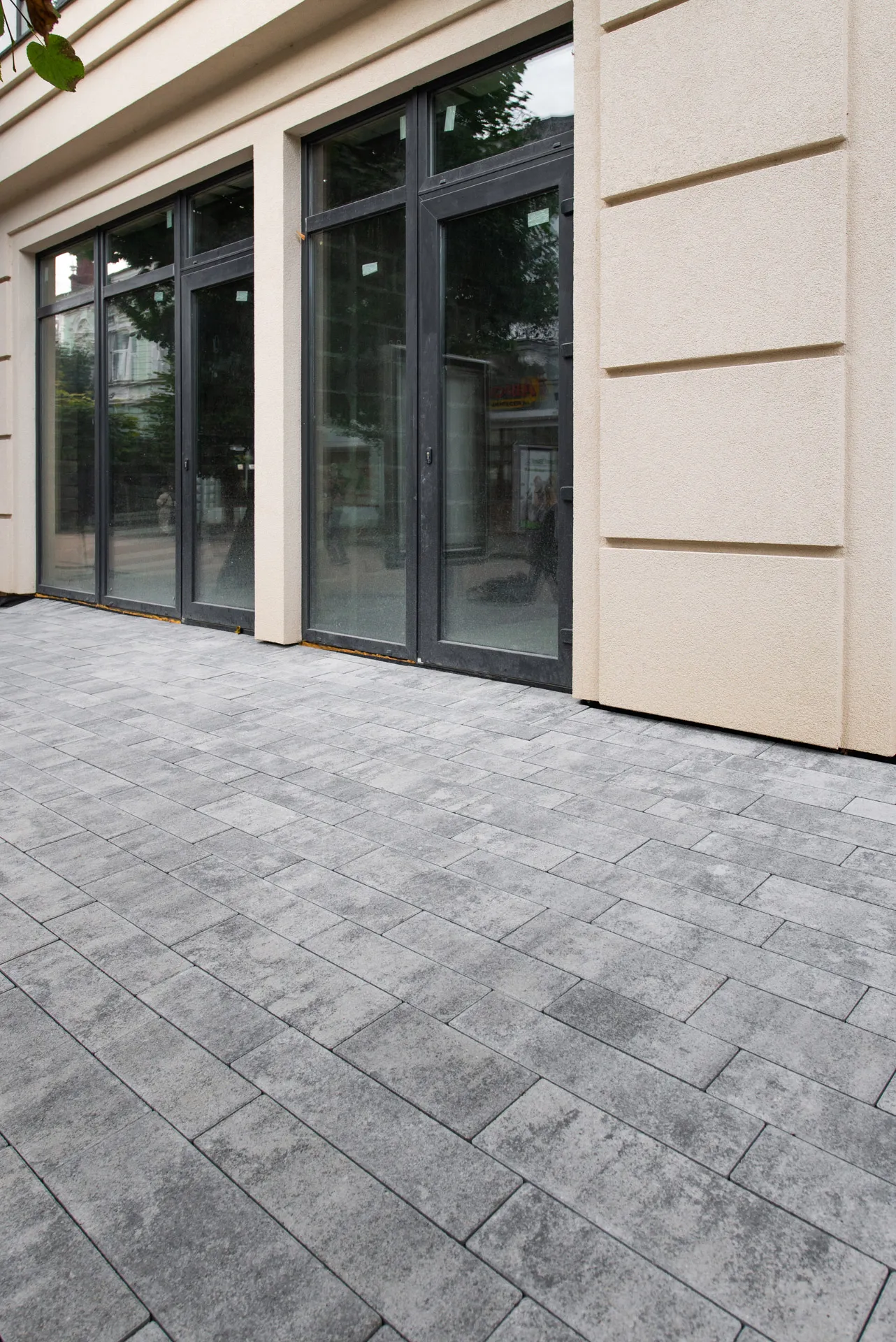 Доміні колір: Арагон - фото 3