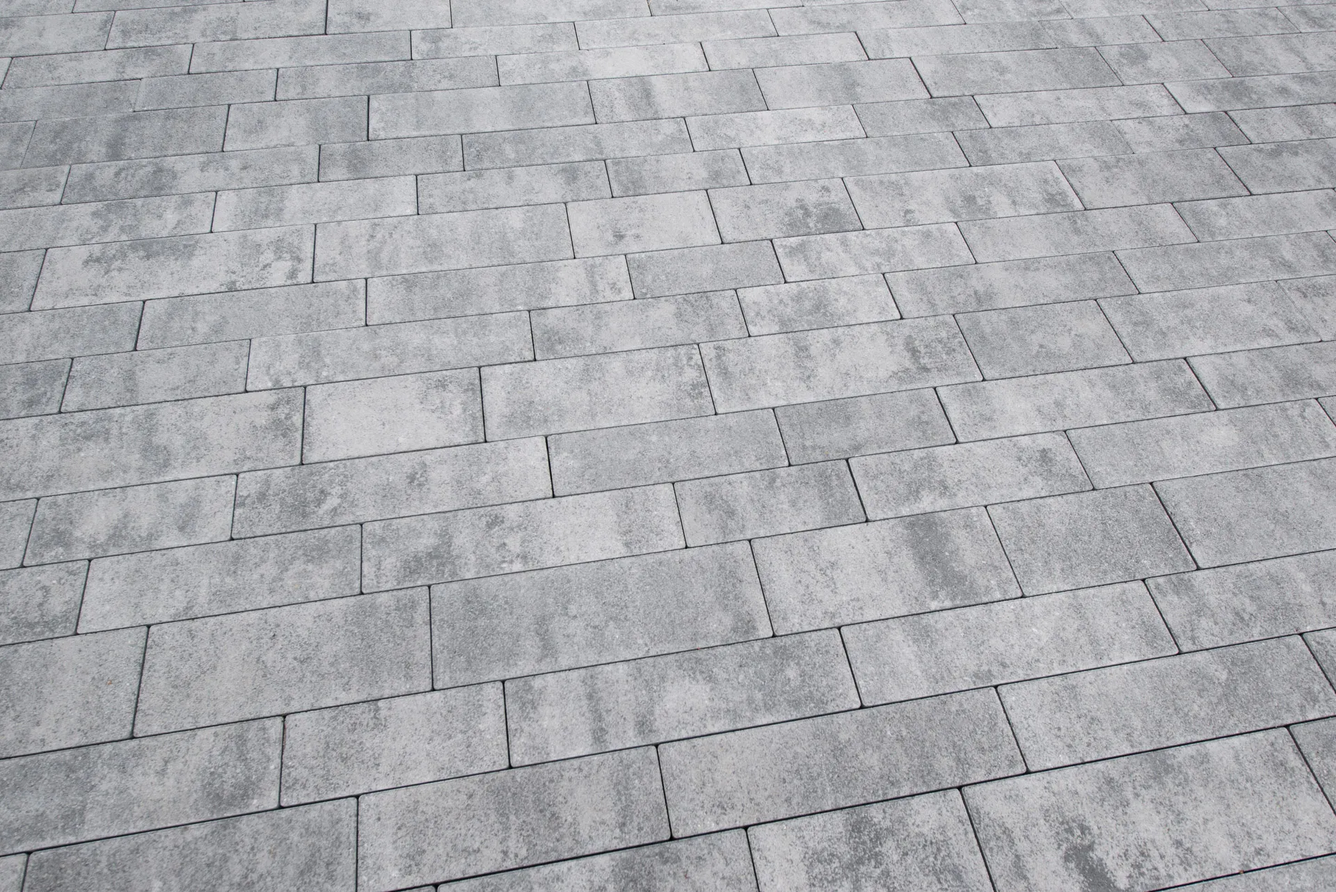 Доміні колір: Арагон - фото 2