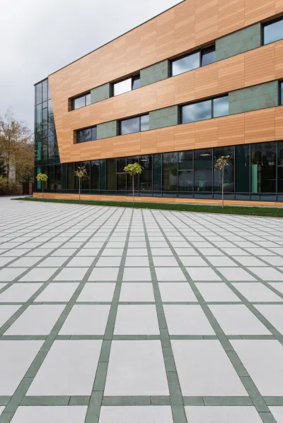 Вектор колір: Білий / Лунго колір: Зелений