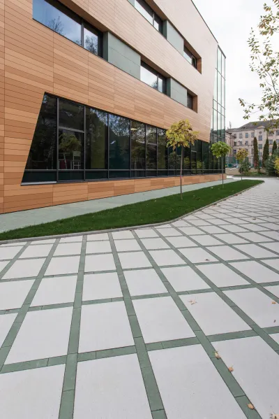 Вектор колір: Білий / Лунго колір: Зелений