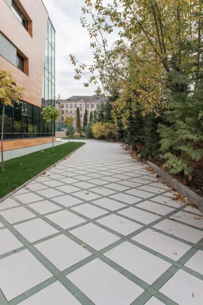 Вектор колір: Білий / Лунго колір: Зелений