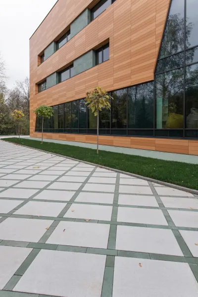 Вектор колір: Білий / Лунго колір: Зелений