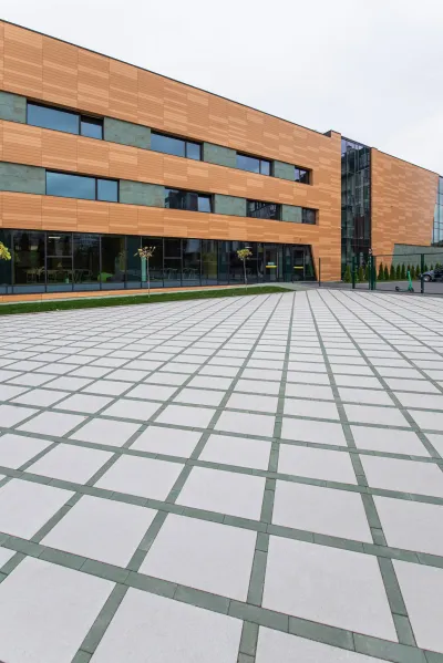 Вектор колір: Білий / Лунго колір: Зелений