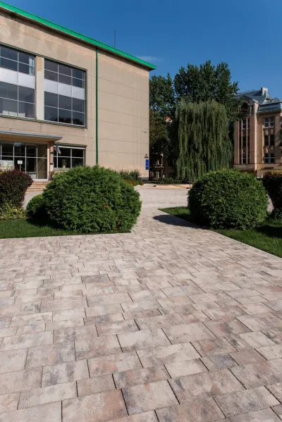 Модерн цвет: Сепия