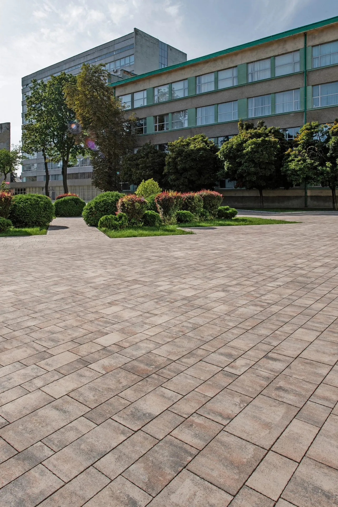 Модерн колір: Сепія - фото 7