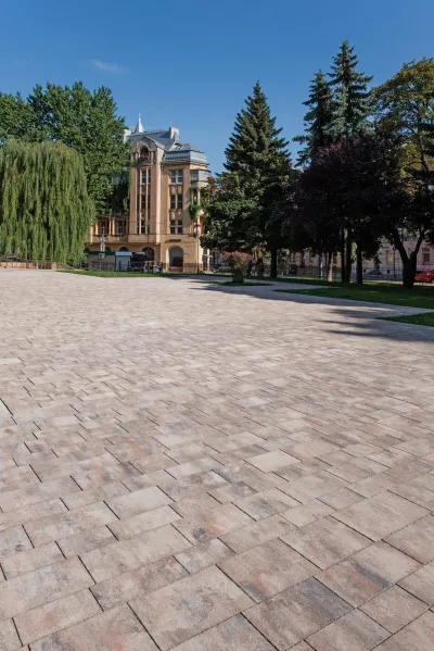 Модерн цвет: Сепия