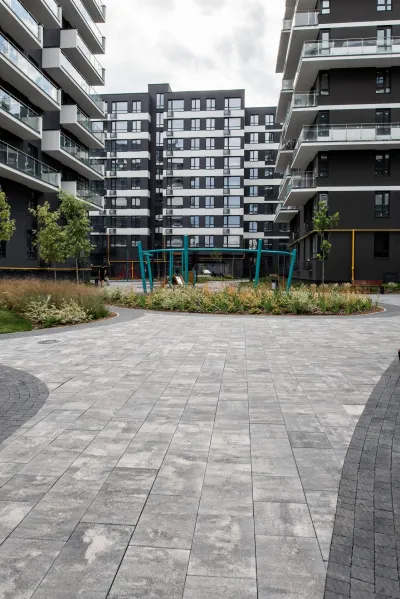 Новатор 6 цвет: Карбон