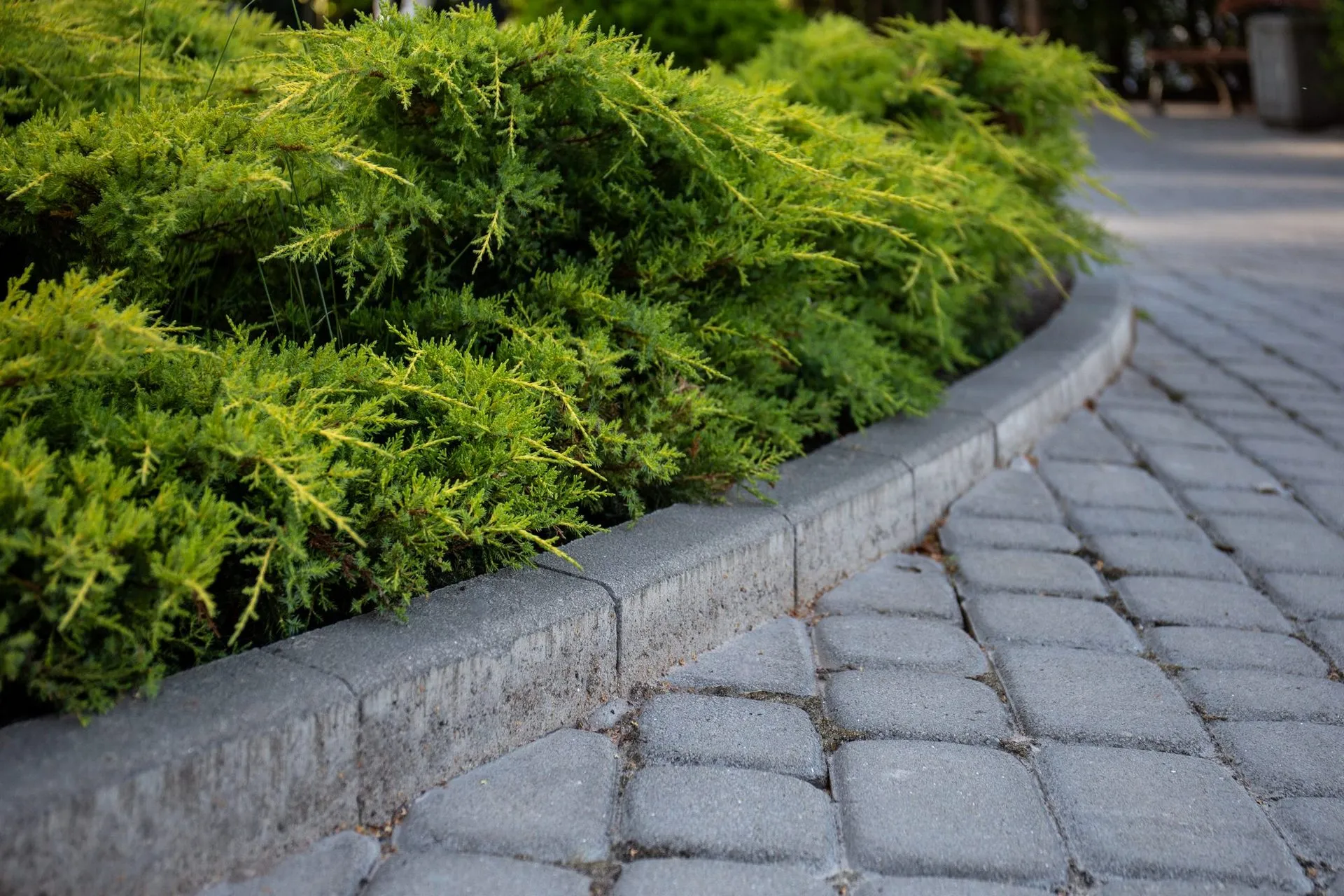 Поребрик (8 см) колір: Чорний - фото 2