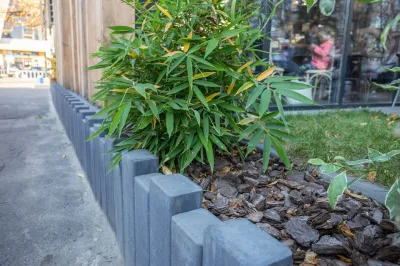 Палісад Львівський колір: Чорний