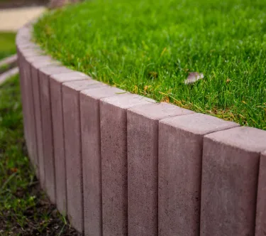 Палісад Львівський