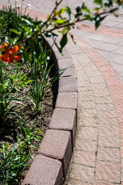 Палісад Львівський колір: Коричневий