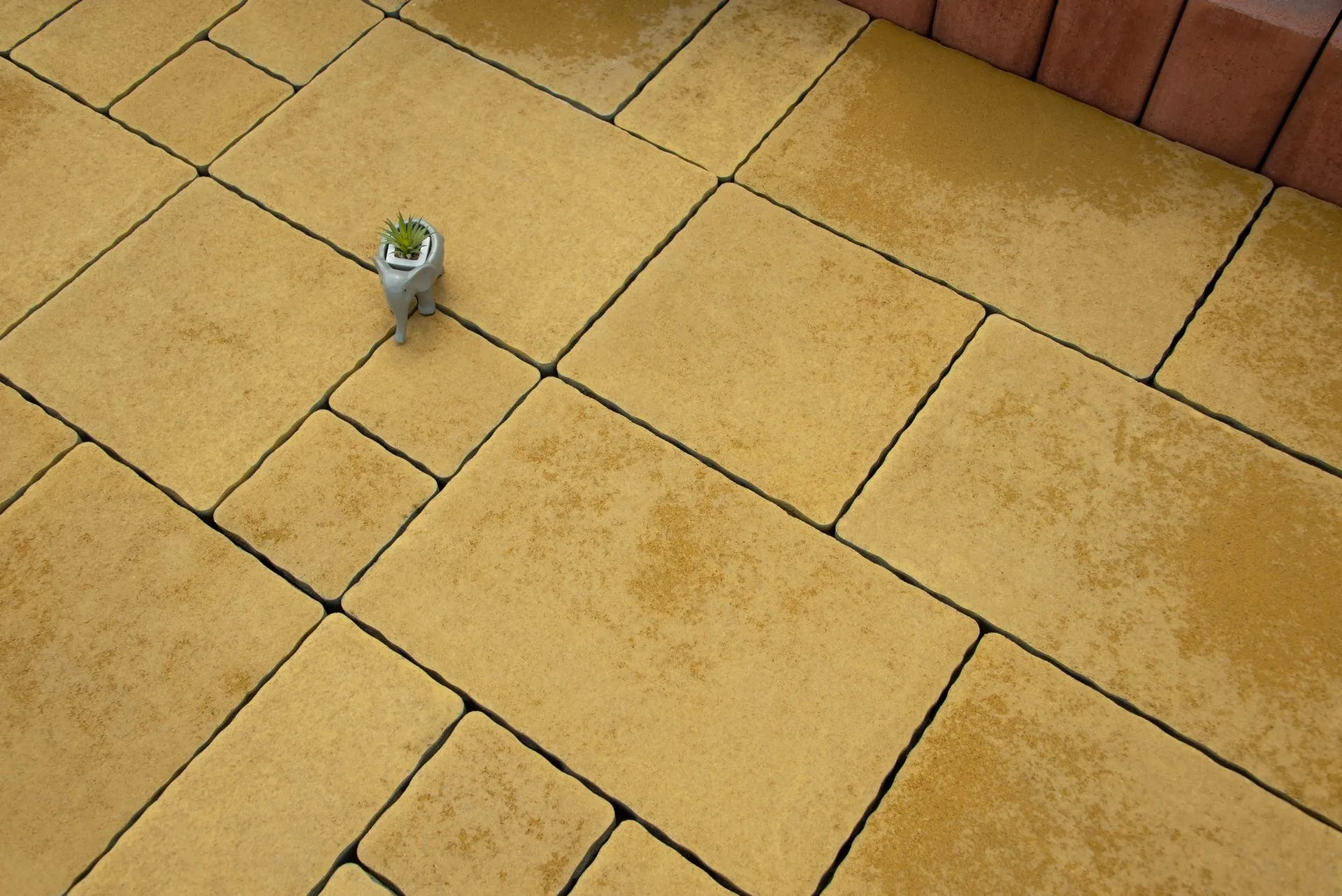 Ренесанс колір: Жовтий - фото 6