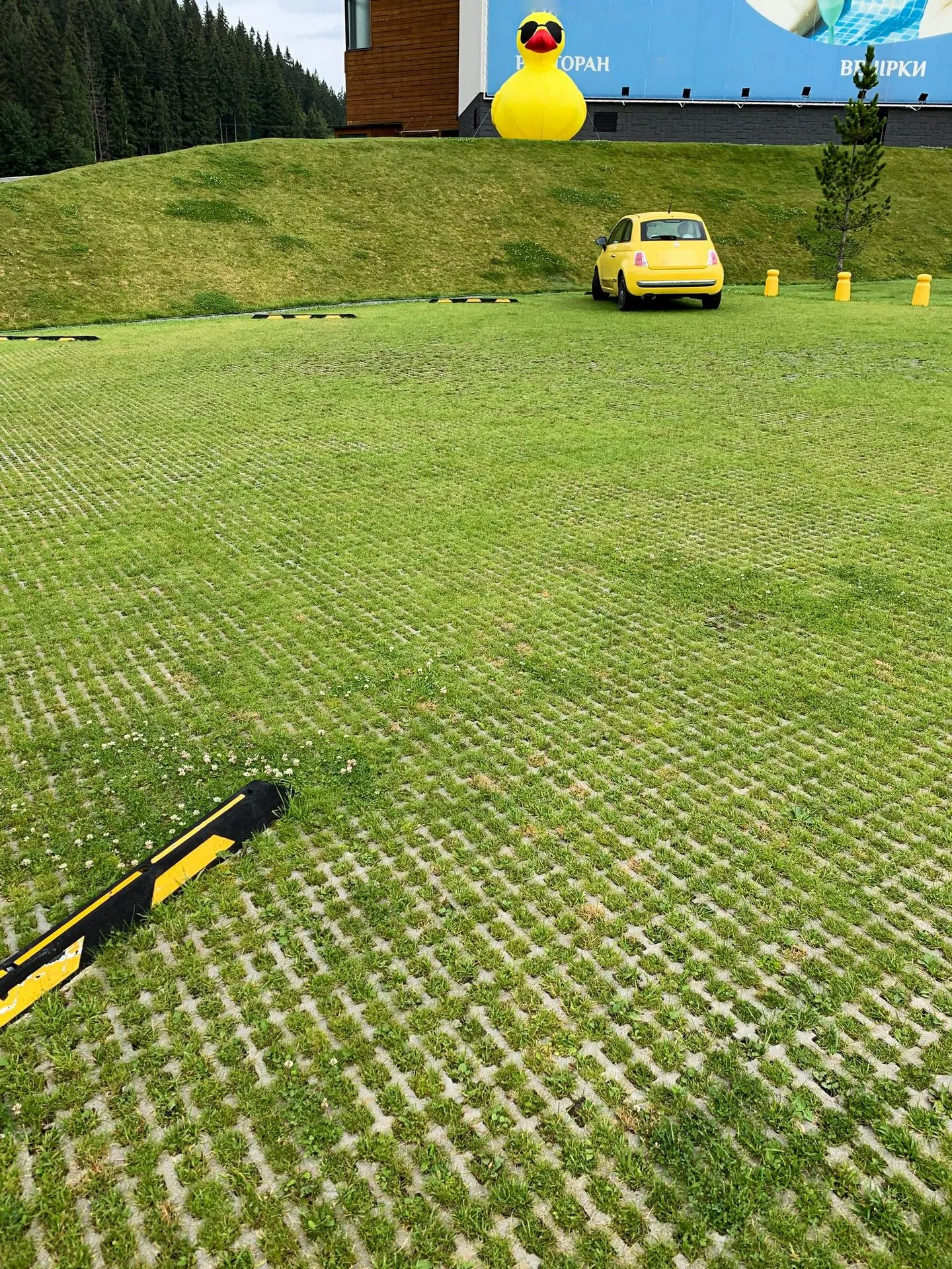 Решітка Еко колір: Сірий - фото 6