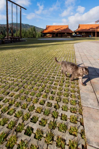 Решітка Еко колір: Сірий / Романо колір: Ферум