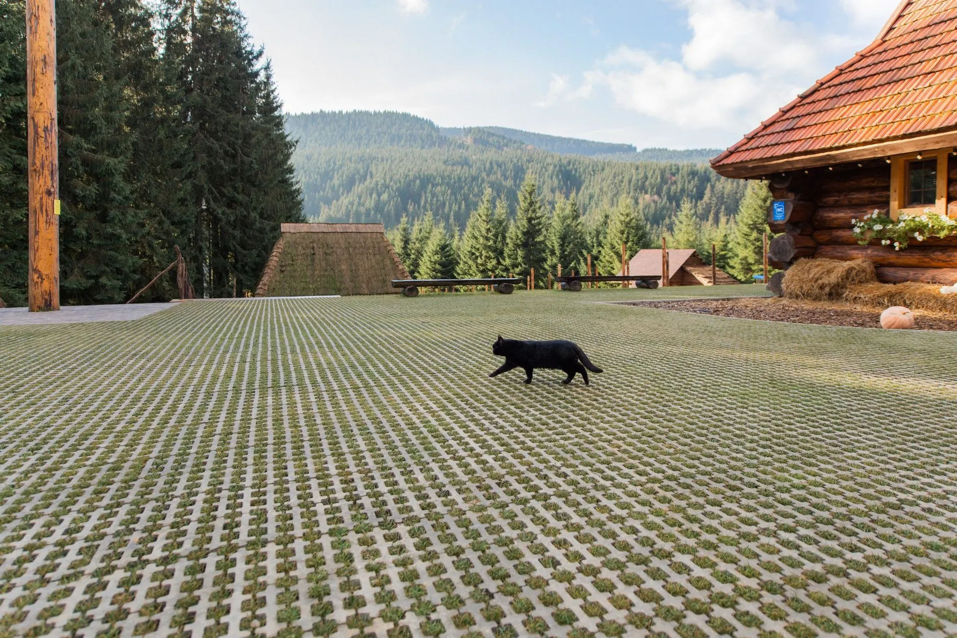 Решітка Еко колір: Сірий - фото 7