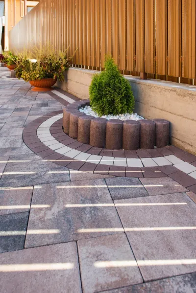 Палисад полумесяц цвет: Коричневый / Рокко цвет: Ферум / Торни цвет: Коричневый, Белый