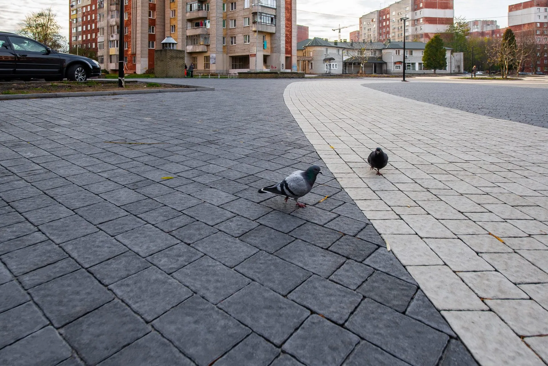 Римський Камінь колір: Білий, Чорний - фото 1