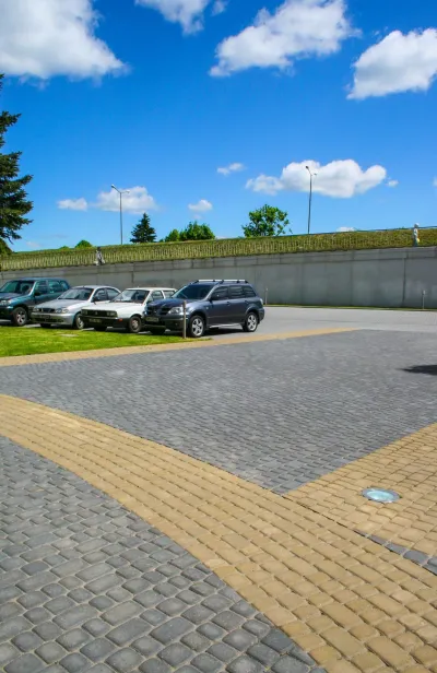 Львовская брусчатка цвет: Горчичный, Черный