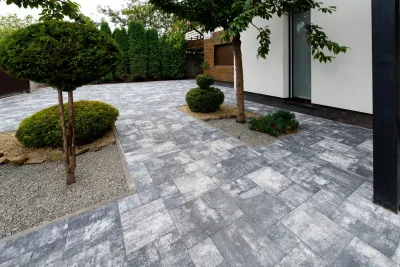 Рокко колір: Хром