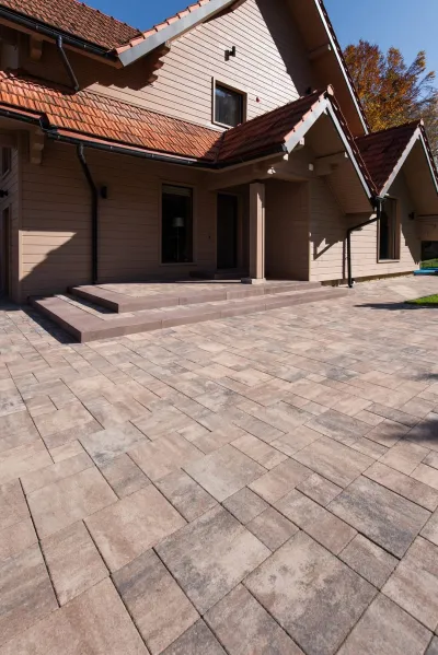 Рокко колір: Ферум / Сходина колір: Коричневий