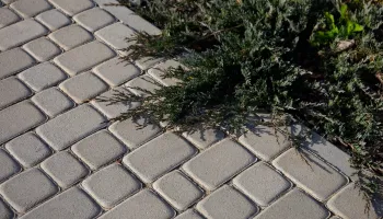 Тротуарная плитка Старый город