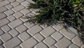 Бруківка Львівська