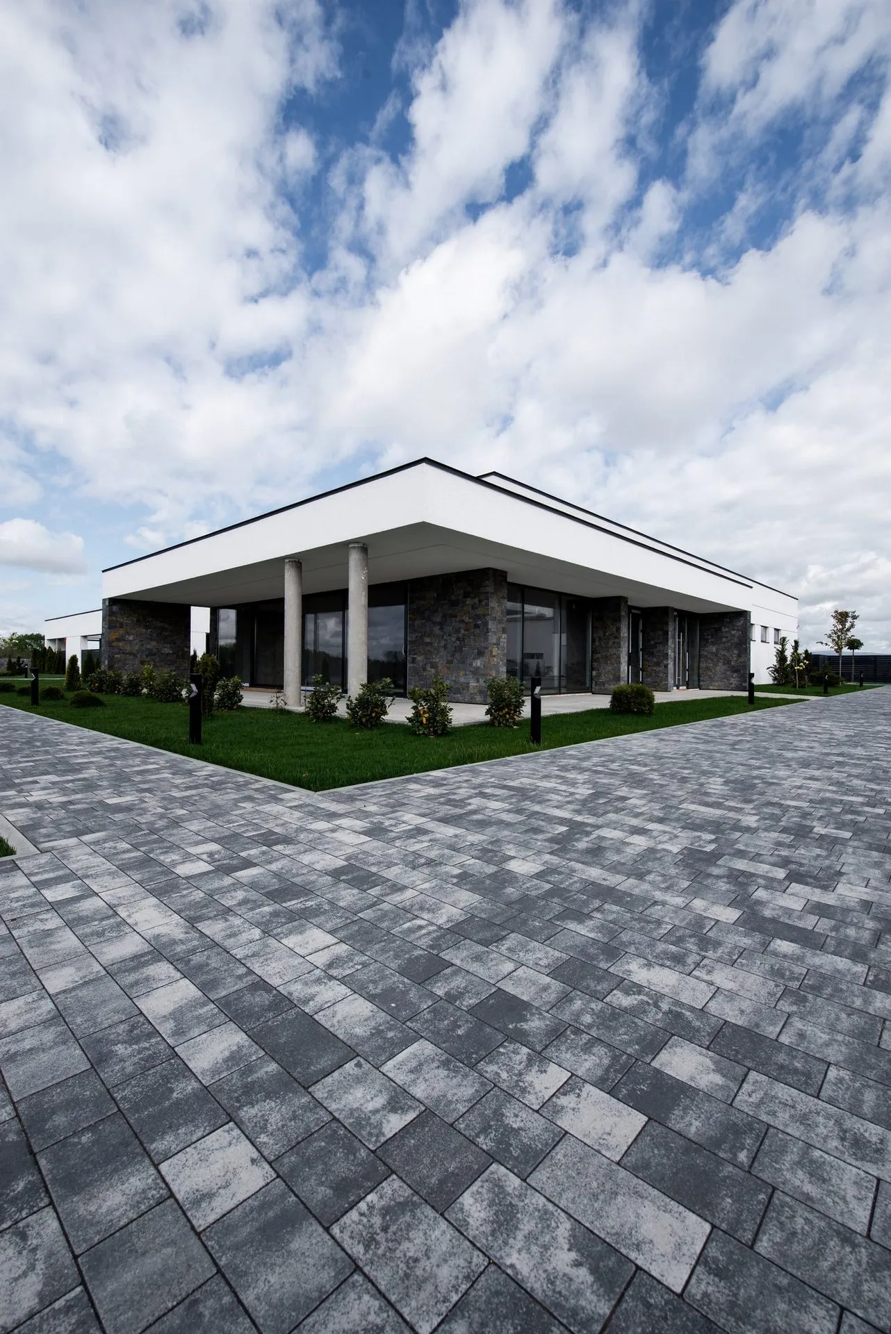 Романо цвет: Хром - фото 3