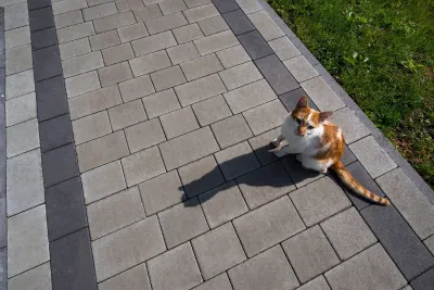 Романо колір: Білий, Чорний, Сірий