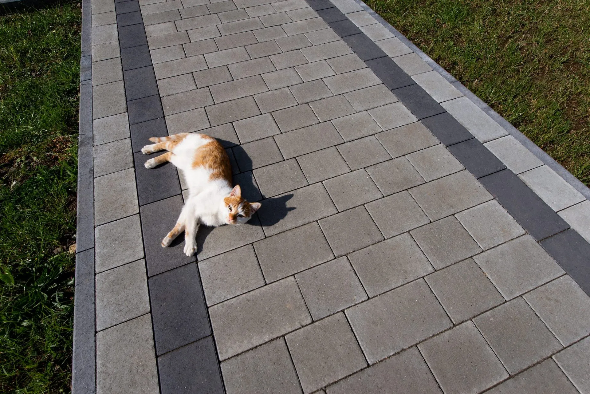 Поребрик (6 см) колір: Чорний / Романо колір: Білий, Сірий, Чорний - фото 15