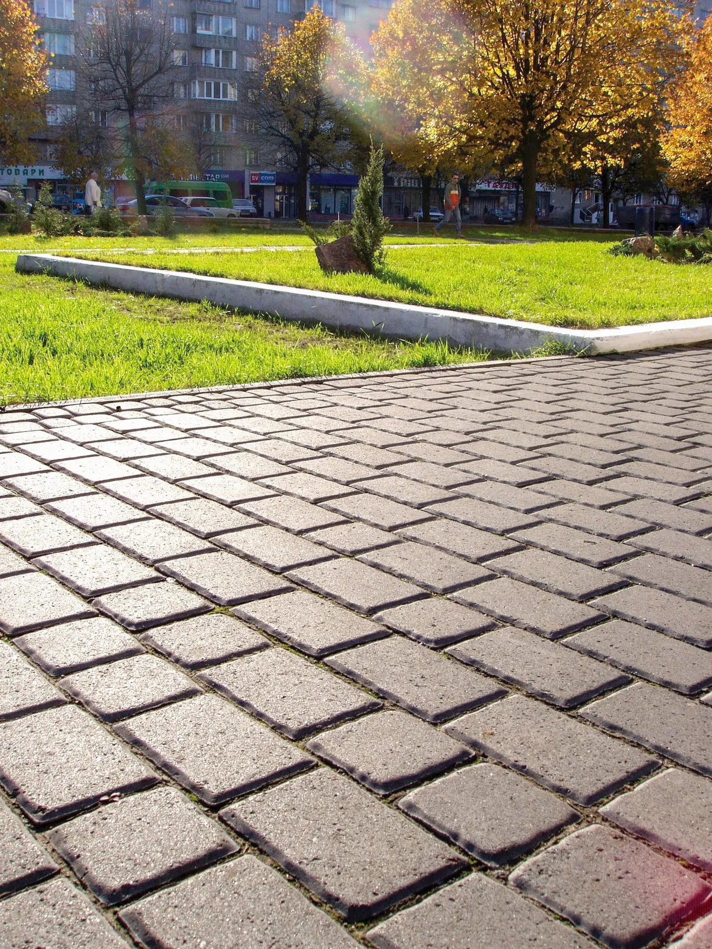 Стара Дорога колір: Чорний - фото 5