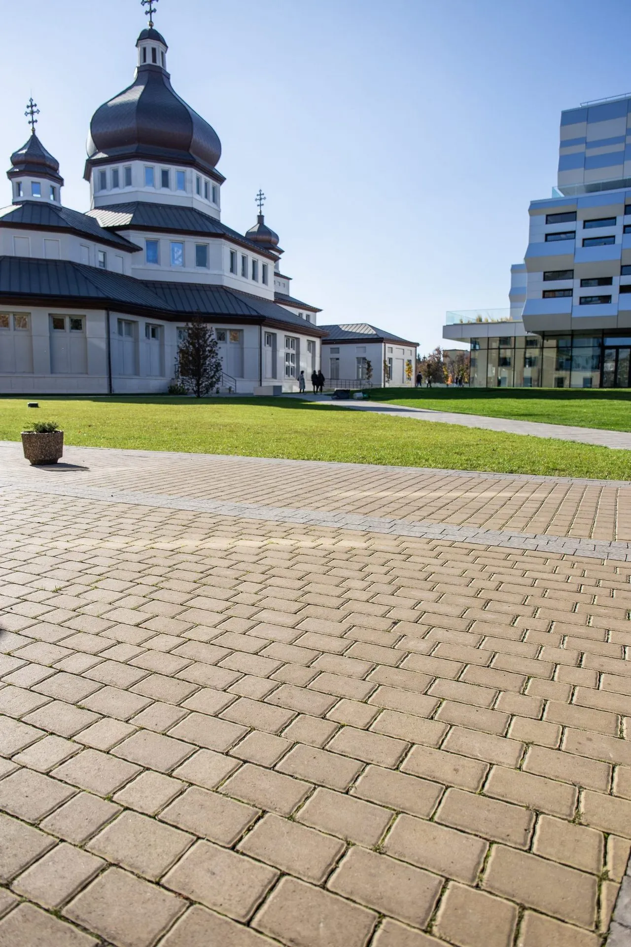 Стара Дорога колір: Гірчичний - фото 7