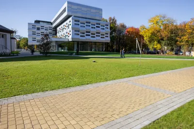 Старая дорога цвет: Горчичный