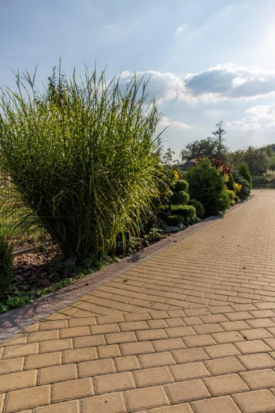 Старая дорога цвет: Желтый