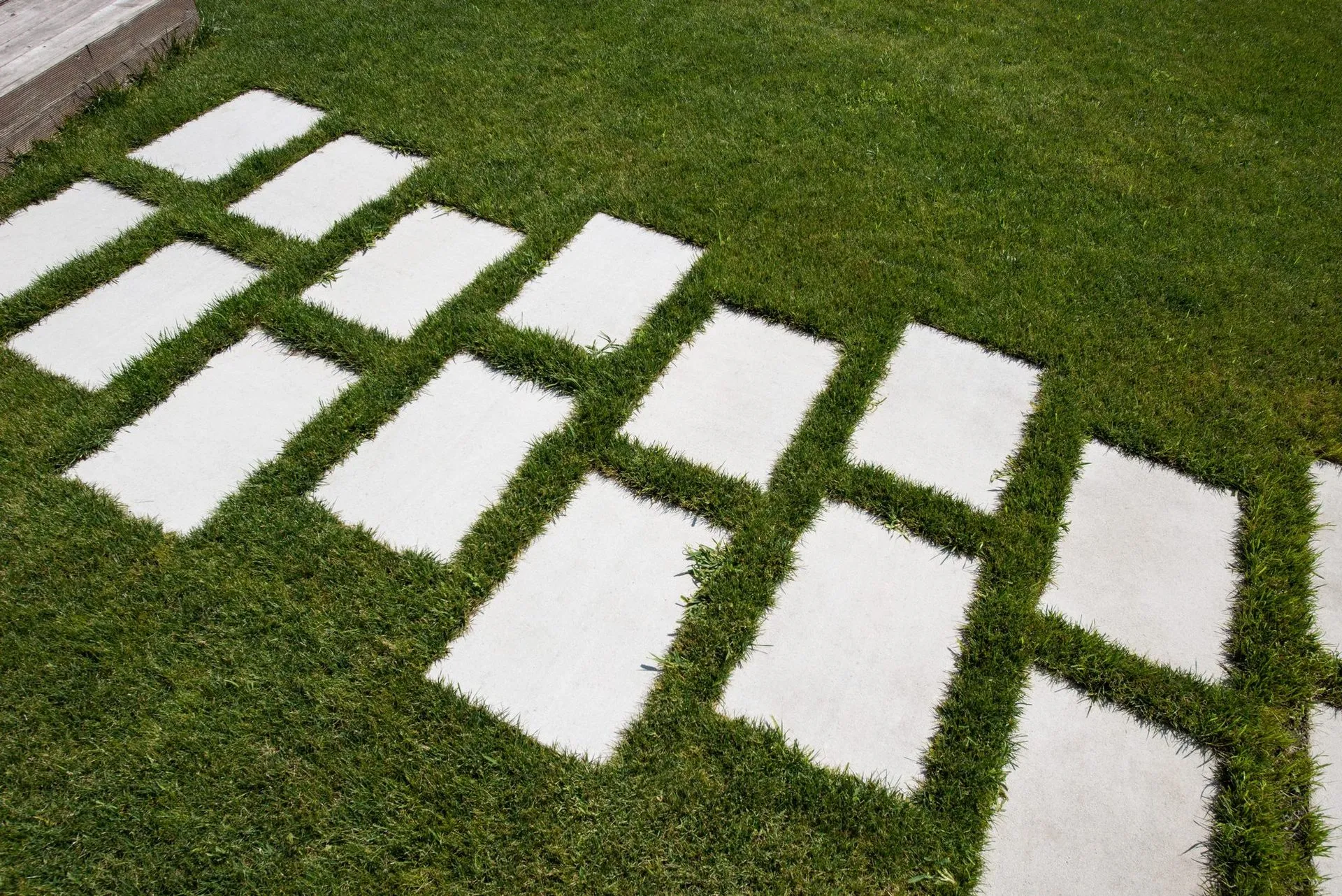 Вектор колір: Білий - фото 6