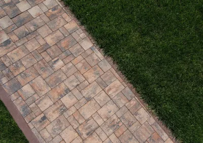 Теано цвет: Сепия