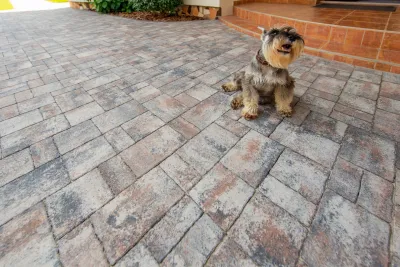 Теано цвет: Сепия