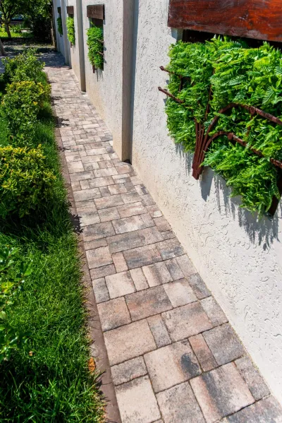 Теано цвет: Сепия