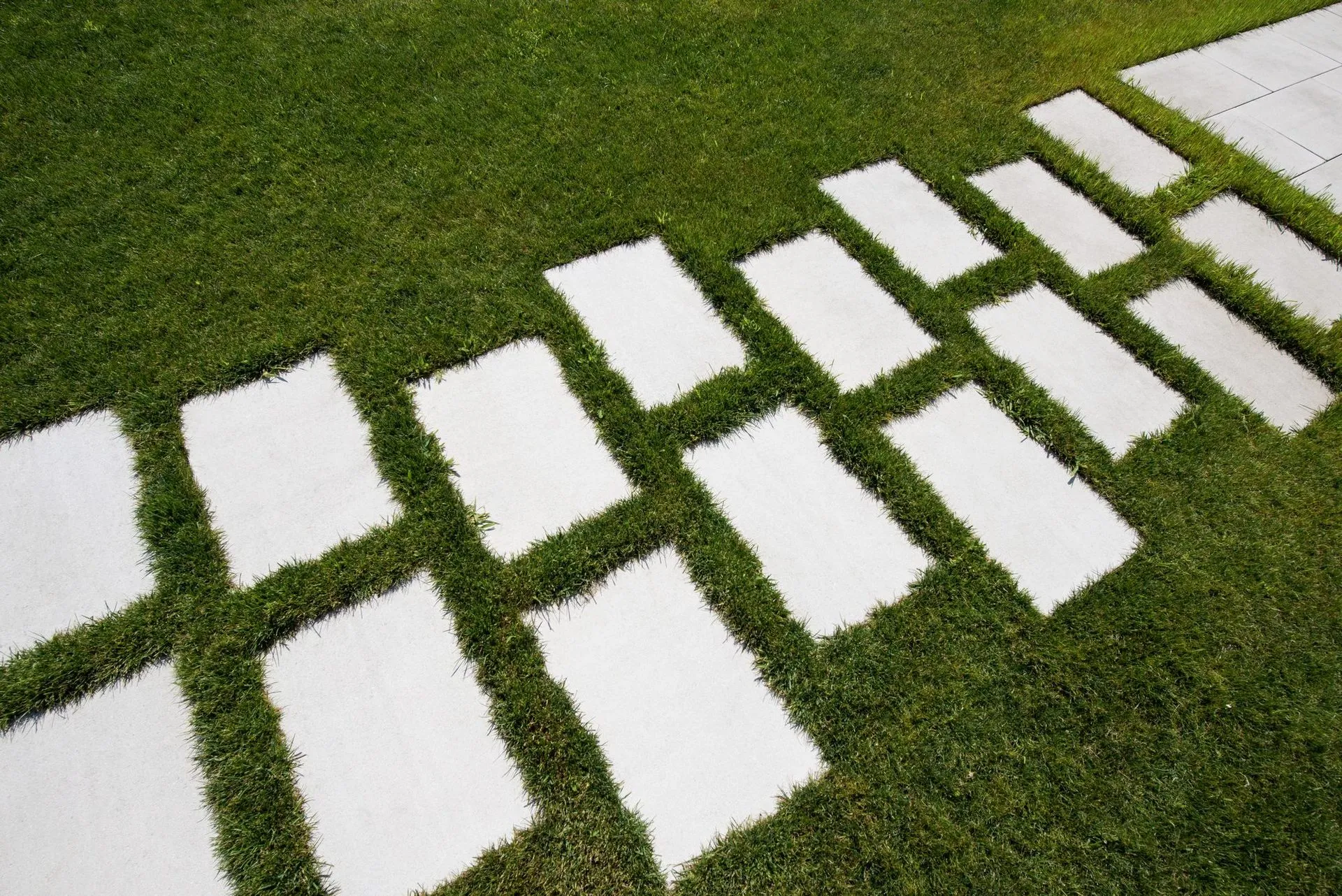 Вектор колір: Білий - фото 1