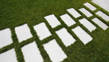 Вектор цвет: Белый