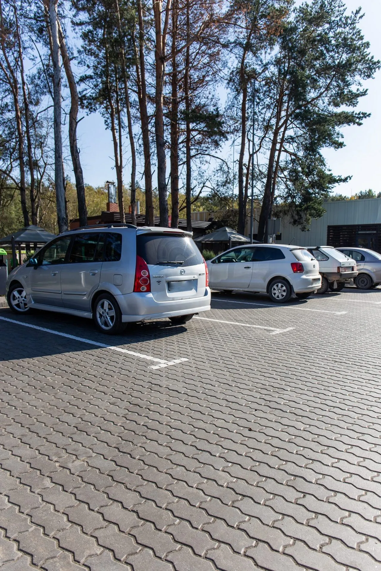 Фалка колір: Сірий - фото 8