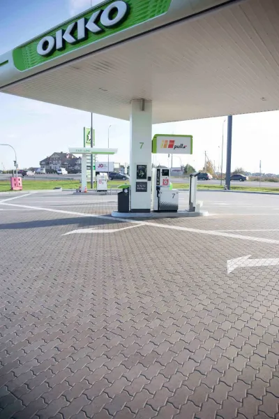 Фалка колір: Сірий