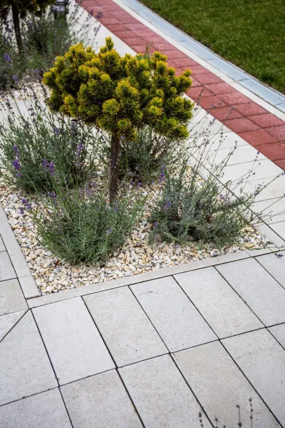 Футуро цвет: Белый