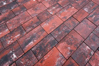 Хосе колір: Гранат