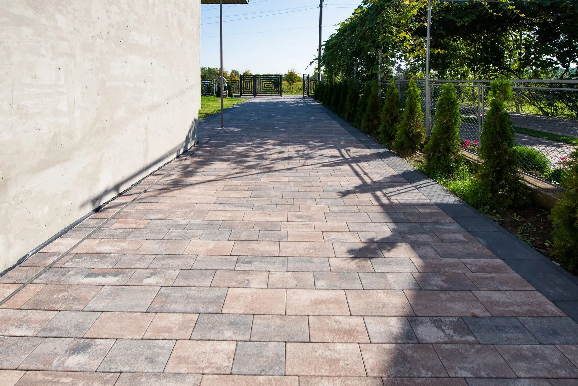 Хосе цвет: Ферум - фото 14