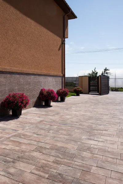 Хосе колір: Ферум